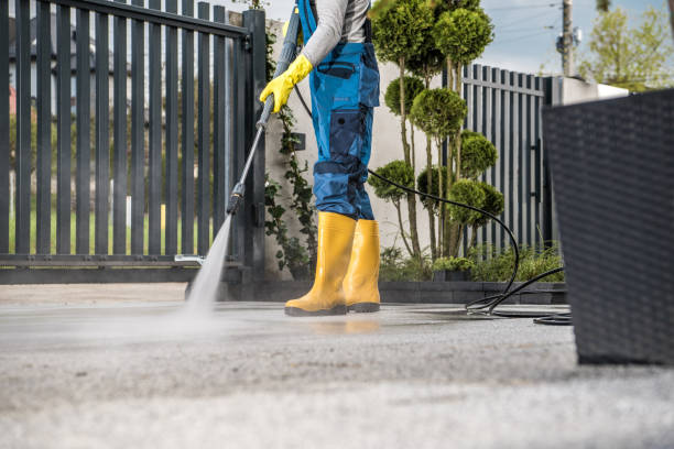 Best Driveway Pressure Washing  in Windsor, IL