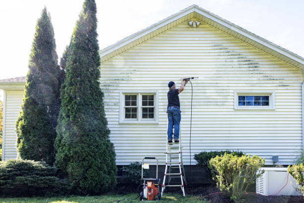 Best Fence Cleaning  in Windsor, IL